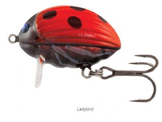 Salmo Lil Bug 2cm - 